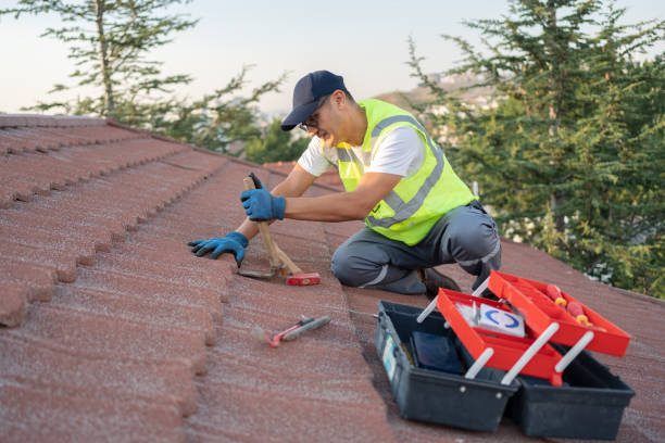 Best Roof Maintenance Services  in Summit View, WA